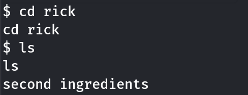 Fig 10: list of files under `/home/rick` directory